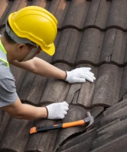 Roof Maintenance Tips for Homeowners in Surrey